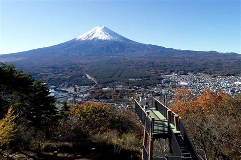 紫荊花廣場怎麼走 與沿途風景值得一探究竟嗎？