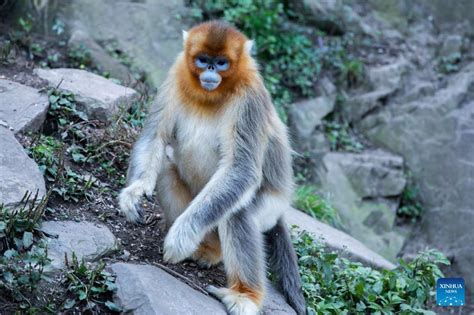 玉合公園怎樣？從多方面細探其魅力與特色